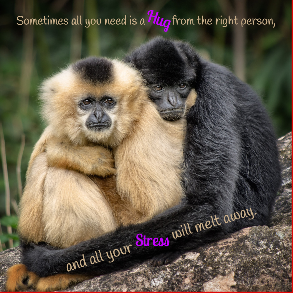 Sometimes_all_you_need_is_a_hug Quote Card